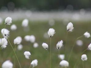 image-76c7ba2ae03106b4e075a94c41cd67cb039e30b5-5184x3456-jpg