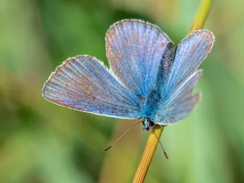 image-7c52cc429377c813268642a40bf228d3b234f878-4000x2667-jpg